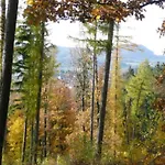 In Waldnaehe Nyaraló Waltershausen