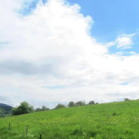 In Waldnaehe * Waltershausen