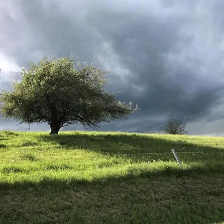 In Waldnaehe Hébergement de vacances Waltershausen