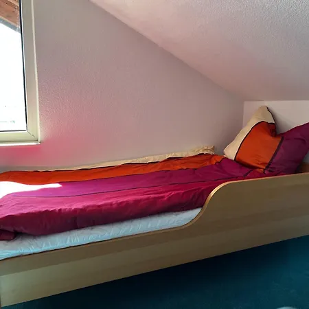 In Waldnaehe