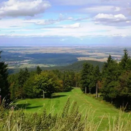 In Waldnaehe Hébergement de vacances