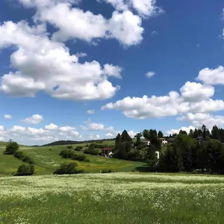 In Waldnaehe Hébergement de vacances