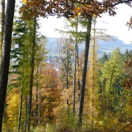 In Waldnaehe Tatil Evi Waltershausen