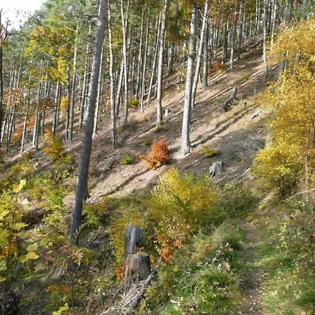 In Waldnaehe * Waltershausen