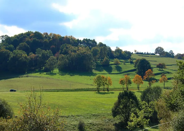 In Waldnaehe Waltershausen