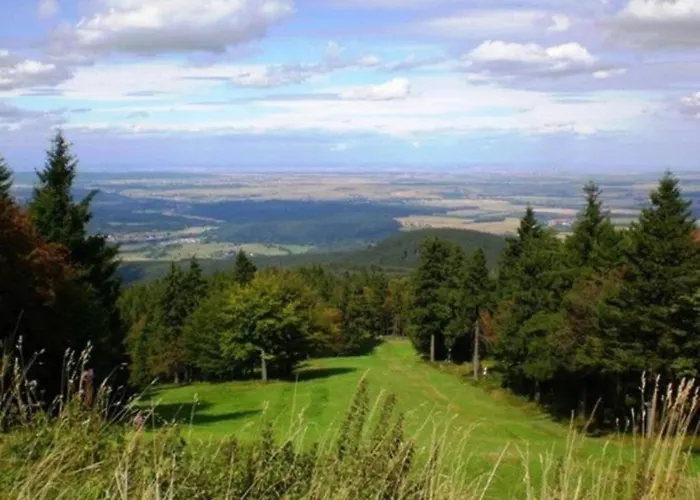 In Waldnaehe Prázdninový dům